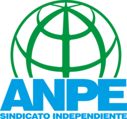 anpecomunidadvalenciana.es icon