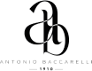 antoniobaccarelli.com.ar icon