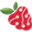 anvasoft.ca icon