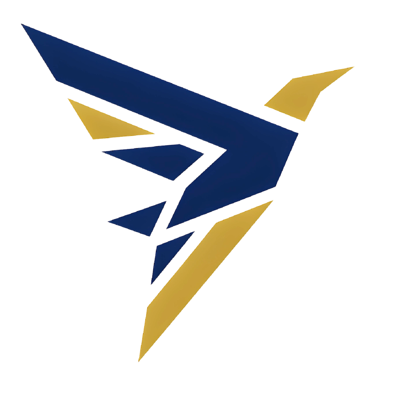 anyh5.com icon