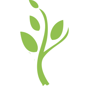anysitesolutions.com icon