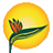 aparadiserentals.com icon