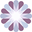 apne.ws logo