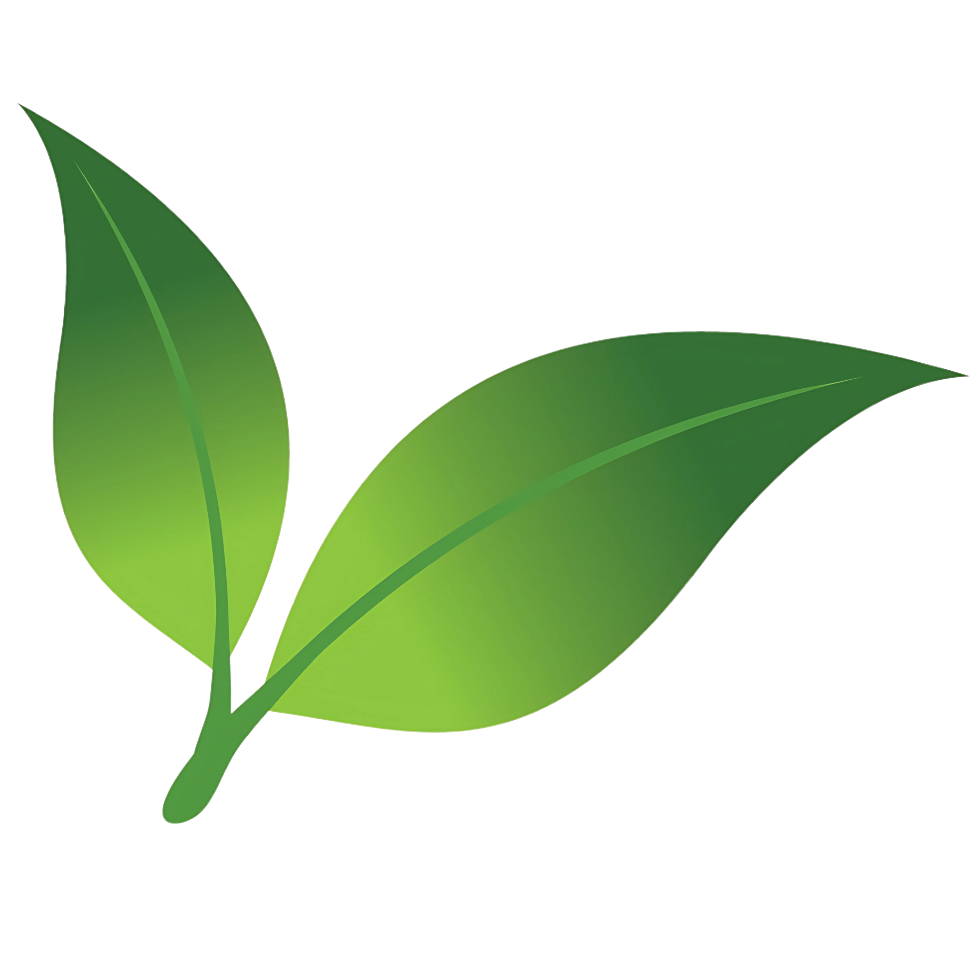 apopkachamber.org icon