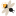 app-wortkunst.de icon