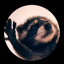 appvybe.com icon