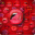 arabnudes.org icon