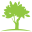 The Arboretum Club logo