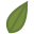 arbre.app icon