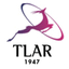 archivesofrheumatology.org icon