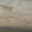 arcticrodeorecordings.com icon