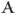 argosyalton.com icon