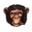 aristocrat.net icon