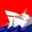 armadorapereira.com icon