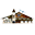 armbrustschuetzenzelt.de icon