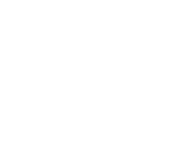 aryholding.com logo