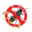 asiatischehornisse.ch icon