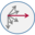 aspredicted.org icon