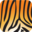 AssetTiger