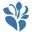 assistedlivingseniorcarepalmdesert.com icon