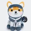 asteroidshib.org favicon