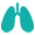 asthmacontroltest.com icon