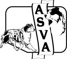 asvaev.net icon