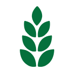 atacadaocerealista.com.br icon