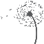 aujourdhuilespoir.org icon