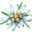 ausflugsziele-allgaeu.de icon