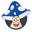 aussiemushroomsupplies.com.au icon
