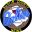 austincountynewsonline.com icon