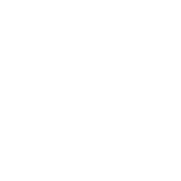 AutoComputer logo