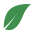 autoecolelabastille.com icon