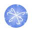 autosnowplow.com icon
