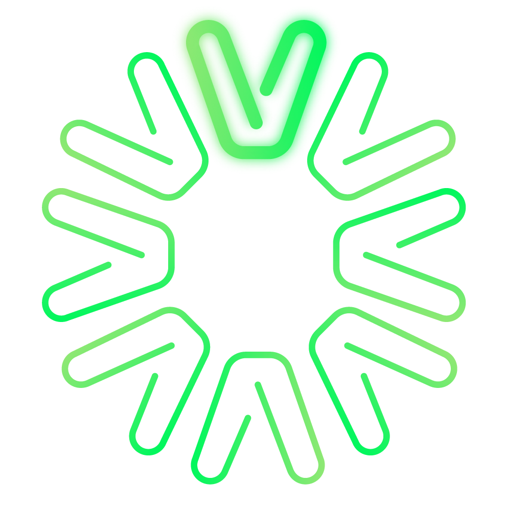 autovist.com.br icon