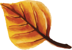 autumnfallsinterview.com logo