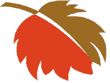 autumnfire.com icon