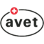 avetglobal.com icon