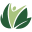 avitahealth.org icon