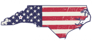 avlindependenceday5k.com icon