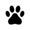 avlwatchdog.org logo
