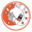 avmpp.ch icon