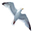 avsa.com icon