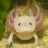 axolotlforum.de icon