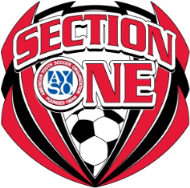 aysosection1.org icon
