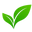 ayurvedashop.ca icon