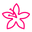 azaleia.cl icon