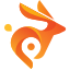 b-cdn.host logo