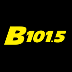 b1015.com icon